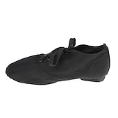 cheap Jazz Shoes-Men&#039;s Jazz Shoes Practice Trainning Dance Shoes Stage Performance Flat Sneaker Flat Heel Lace-up White Black Red
