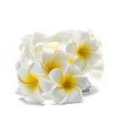 billige Batteridrevet-3m 20 led frangipani blomsterslyngelys, eventyrlys krans for julehjem, bryllup og festdekor, utendørs kransbelysning