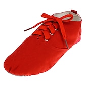 cheap Jazz Shoes-Men&#039;s Jazz Shoes Practice Trainning Dance Shoes Stage Performance Flat Sneaker Flat Heel Lace-up White Black Red