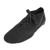 cheap Jazz Shoes-Men&#039;s Jazz Shoes Practice Trainning Dance Shoes Stage Performance Flat Sneaker Flat Heel Lace-up White Black Red