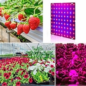 economico Lampade per coltivazione indoor-1pc 81leds 169 led indoor led grow light pianta crescente lampada rosso blu spettro completo per pianta idroponica da interno