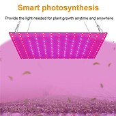 economico Lampade per coltivazione indoor-1pc 81leds 169 led indoor led grow light pianta crescente lampada rosso blu spettro completo per pianta idroponica da interno
