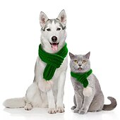 cheap For Pets-Dog Christmas Dog Scarf Cartoon Winter Dog Clothes Puppy Clothes Dog Outfits Green Gray Red Costume for Girl and Boy Dog Plush Fabric S M L, Christmas Gift for Dogs