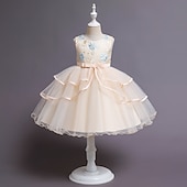 preiswerte Kleider für die Blumenmädchen-kinderkleidung Mädchen Blumenmädchen Kleid Kleid Pailletten Ärmellos Leistung Hochzeit Party Gitter Patchwork Süß Baumwolle Knielang Tüll-Kleid Sommer Frühling Herbst 4-12 Jahre Rosa Rote Blau