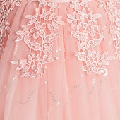 preiswerte Kleider für die Blumenmädchen-Blumenmädchenkleid Mädchen Kleid Prinzessinenkleid Party Kleid Formal Hochzeit Party Elegant Kuschelig Ausgefallene Kindertag Gitter Blumen Langarm Rundhalsausschnitt Beige Weiß