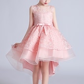baratos Vestidos floridos-Vestido para Meninas das Flores Para Meninas Vestido Vestido de princesa Vestido de festa Espetáculo Casamento Festa Estilo bonito Princesa Doce Dia da Criança Com Transparência Multi Camadas Floral