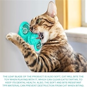 abordables Jouets pour chats-Jouets pour Chat Jouet interactif Jouet rotatif Ensemble de jouets pour chats Moulin à vent Jouets Interactifs pour Chat Jouets amusants pour chats Chat Petit Chat 1 jeu Rondes Compatible avec