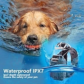 abordables Dressage pour chiens-collier anti-aboiement pour chien colliers de dressage anti-aboiement de couleur unie pp corgi beagle shiba inu carlin bichon frisé pékinois noir