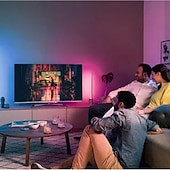 זול שלט רחוק-אורות רצועת led עמיד למים 1 m rgb tiktok אורות 60 נוריות 5050 smd 10 מ&quot;מ 1 m led אורות רצועת 17-key מרחוק שלט רחוק rgb tiktok אורות טלוויזיה רקע אור ip65