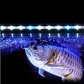 cheap Aquarium Lighting &amp; Hoods-Aquarium Light LED Waterproof Fish Tank Light Underwater Fish Lamp Aquariums Decor Lighting Plant Grow Lamp 220-240V