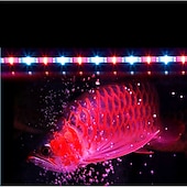 cheap Aquarium Lighting &amp; Hoods-Aquarium Light LED Waterproof Fish Tank Light Underwater Fish Lamp Aquariums Decor Lighting Plant Grow Lamp 220-240V