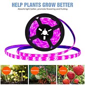 halpa Kasvien kasvatusvalot-usb led-kasvinviljelynauha valolamppu vedenpitävä täysi spektri 2835 smd 3m 9.8ft sisäkukka taimi hydroponics mehikasvi kasvihuone sisätiloissa