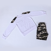 billiga Kläder för pojkar-Pojkar 3D Färgblock Mönster Kamuflasje Sweatshirt &amp; Sweatpants Set Byxset Klädesset Långärmad Grundläggande Ledigt Småbarn 3-12 år Skola Utomhussport Smal
