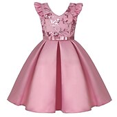 cheap Party Dresses-Kids Girls&#039; Party Dress Solid Color Sleeveless Formal Performance Wedding Lace Adorable Daily Beautiful Cotton Midi Party Dress Floral Embroidery Dress Flower Girl&#039;s Dress Summer Spring Fall 3-10