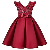 cheap Party Dresses-Kids Girls&#039; Party Dress Solid Color Sleeveless Formal Performance Wedding Lace Adorable Daily Beautiful Cotton Midi Party Dress Floral Embroidery Dress Flower Girl&#039;s Dress Summer Spring Fall 3-10