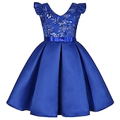 cheap Party Dresses-Kids Girls&#039; Party Dress Solid Color Sleeveless Formal Performance Wedding Lace Adorable Daily Beautiful Cotton Midi Party Dress Floral Embroidery Dress Flower Girl&#039;s Dress Summer Spring Fall 3-10