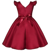 cheap Party Dresses-Kids Girls&#039; Party Dress Solid Color Sleeveless Formal Performance Wedding Lace Adorable Daily Beautiful Cotton Midi Party Dress Floral Embroidery Dress Flower Girl&#039;s Dress Summer Spring Fall 3-10