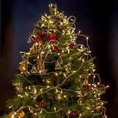 voordelige USB-lichtslingers-elegante bruiloft receptie feest led lichtsnoer usb aangedreven warm wit multi kleur kerst bruiloft decoratie 3m 6m 10m