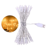 voordelige USB-lichtslingers-elegante bruiloft receptie feest led lichtsnoer usb aangedreven warm wit multi kleur kerst bruiloft decoratie 3m 6m 10m