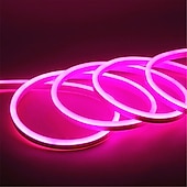 cheap Neon LED Lights-LED Neon Flex Strip Lights 6mm Narrow Neon Light 12V LED Strip Waterproof 5M Cutable DIY Led Neon Light Strip for Indoor Outdoor Home Decoration and DC12V Adapter and Touch Dimmer Switch Kit