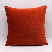 billige Trender innen puter-dekorative kasteputer høst putetrekk putetrekk moderne enkel tykk nederlandsk fløyel ensfarget sofa stue soverom 1 stk rosa blå salvie grønn lilla
