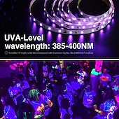 זול פנסי פס עמיד למים-אור led רצועת 2x5m 32.8ft led ערכת רצועת אור שחור אור 600 יחידות חרוזי מנורת uv 12 v גופי blacklight גמישים 10 m סרט led עמיד למים למסיבת ריקוד פלורסנט פנימי תאורה שלב גוף