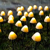 cheap Landscape Lights-Outdoor Solar String Light LED Mushroom Solar String Light 3.8m 10 LEDs Outdoor Patio Garden Decoration Waterproof Fairy Light Courtyard Lawn Solar Ground Stakes Lamp 1 Set