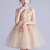 baratos Vestidos floridos-Infantil Para Meninas Vestido de daminha de honra Vestido Flor Sem Manga Casamento Festa Paetês Princesa Doce Poliéster Altura dos Joelhos Vestido de florista Verão 3-12 anos Branco Rosa Azul Marinha