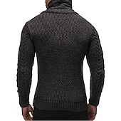 voordelige pullover voor heren-Voor heren Trui Coltrui Kabel Haakwerk breien Normaal Klassiek Effen / effen kleur Opstaande boord Basic Kleding Raglan mouwen Winter Kameel Zwart S M L