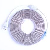 cheap Waterproof Strip Lights-LED Strip Flexible Light SMD 5050 AC220V 110V 60LEDs Waterproof LED Tape LED Light With Power Plug 5m 10m 1m