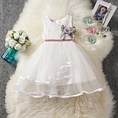cheap Fairytale Theme Dresses-Kids Little Girls&#039; Dress Flower Swing Dress Party Birthday Daily Lace Ruffle Mesh Green White Pink Sleeveless Cute Princess Sweet Dresses Spring Summer 2-6 Years