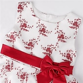 cheap Casual Dresses-Kids Girls&#039; Dress Floral Sleeveless Party Embroidered Lace Trims Bow Cute Cotton Knee-length Skater Dress Summer 3-10 Years Pink Dusty Rose Red
