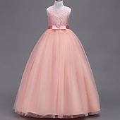 cheap Flower Girl&#039;s Dresses-Flower Girl Dress Girls&#039; Dress Evening Gown Party Dress Wedding Party Birthday Party Princess Sweet Lace Mesh Floral Sleeveless Crew Neck White Pink 4-13 Years