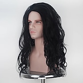 abordables Perruques de personnages de films-Perruque cosplay homme raie au milieu 66 cm fibre résistante à la chaleur bouclée noir/brun adulte perruque anime perruques d'Halloween