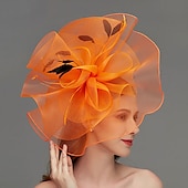 preiswerte Faszinator-Netz-Fascinator  Kopfschmuck  Kopfstück mit Feder  Blume  Trim 1 Stück Hochzeit  Besonderer Anlass  Damen-Tag Kopfstück um zu beeindrucken Derby-Fascinators Renntag-Kleid 2025