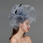 preiswerte Faszinator-Netz-Fascinator  Kopfschmuck  Kopfstück mit Feder  Blume  Trim 1 Stück Hochzeit  Besonderer Anlass  Damen-Tag Kopfstück um zu beeindrucken Derby-Fascinators Renntag-Kleid 2025
