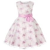 cheap Casual Dresses-Kids Girls&#039; Dress Floral Sleeveless Party Embroidered Lace Trims Bow Cute Cotton Knee-length Skater Dress Summer 3-10 Years Pink Dusty Rose Red
