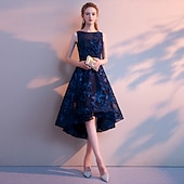 levne NY šaty-A-Line Koktejlové Šaty Elegantní Šaty Svatební Host Návrat Asymetrické Bez Rukávů Hrdlový Krk Tyl s Pličkami Vzor  Tisk