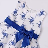 cheap Casual Dresses-Kids Girls&#039; Dress Floral Sleeveless Party Embroidered Lace Trims Bow Cute Cotton Knee-length Skater Dress Summer 3-10 Years Pink Dusty Rose Red
