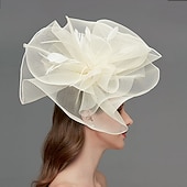 preiswerte Faszinator-Netz-Fascinator  Kopfschmuck  Kopfstück mit Feder  Blume  Trim 1 Stück Hochzeit  Besonderer Anlass  Damen-Tag Kopfstück um zu beeindrucken Derby-Fascinators Renntag-Kleid 2025