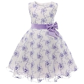 cheap Casual Dresses-Kids Girls&#039; Dress Floral Sleeveless Party Embroidered Lace Trims Bow Cute Cotton Knee-length Skater Dress Summer 3-10 Years Pink Dusty Rose Red