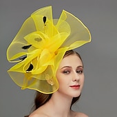 preiswerte Faszinator-Netz-Fascinator  Kopfschmuck  Kopfstück mit Feder  Blume  Trim 1 Stück Hochzeit  Besonderer Anlass  Damen-Tag Kopfstück um zu beeindrucken Derby-Fascinators Renntag-Kleid 2025