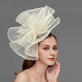 preiswerte Faszinator-Netz-Fascinator  Kopfschmuck  Kopfstück mit Feder  Blume  Trim 1 Stück Hochzeit  Besonderer Anlass  Damen-Tag Kopfstück um zu beeindrucken Derby-Fascinators Renntag-Kleid 2025
