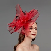 preiswerte Faszinator-Netz-Fascinator  Kopfschmuck  Kopfstück mit Feder  Blume  Trim 1 Stück Hochzeit  Besonderer Anlass  Damen-Tag Kopfstück um zu beeindrucken Derby-Fascinators Renntag-Kleid 2025