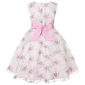 cheap Casual Dresses-Kids Girls&#039; Dress Floral Sleeveless Party Embroidered Lace Trims Bow Cute Cotton Knee-length Skater Dress Summer 3-10 Years Pink Dusty Rose Red