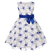 cheap Casual Dresses-Kids Girls&#039; Dress Floral Sleeveless Party Embroidered Lace Trims Bow Cute Cotton Knee-length Skater Dress Summer 3-10 Years Pink Dusty Rose Red