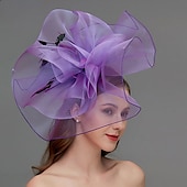 preiswerte Faszinator-Netz-Fascinator  Kopfschmuck  Kopfstück mit Feder  Blume  Trim 1 Stück Hochzeit  Besonderer Anlass  Damen-Tag Kopfstück um zu beeindrucken Derby-Fascinators Renntag-Kleid 2025