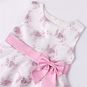 cheap Casual Dresses-Kids Girls&#039; Dress Floral Sleeveless Party Embroidered Lace Trims Bow Cute Cotton Knee-length Skater Dress Summer 3-10 Years Pink Dusty Rose Red