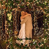 abordables Lumières de cordes solaires-Guirlande lumineuse solaire à LED de 2 m pour réception de mariage élégante – 8 modes, blanc chaud, étanche IP65, feuilles de lierre suspendues pour cour, décoration murale