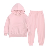 preiswerte 3D-Sets für Jungen-Kinder Jungen Kapuzenpulli &amp; Hose Kleidungsset 2 Stück Langarm Grün Blau Grau Volltonfarbe Baumwolle Strasse Lässig / Alltäglich Streetstyle Sport Standard / Herbst / Winter